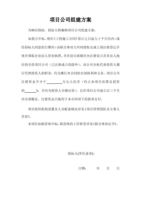 项目公司组建方案