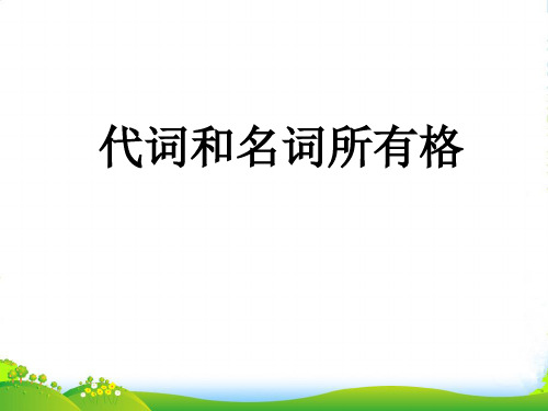 七年级英语上册 代词和名词所有格课件 仁爱