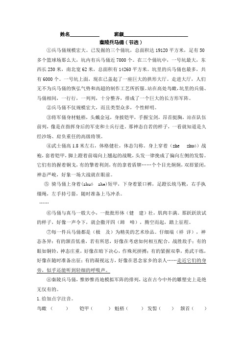秦陵兵马俑-作业设计