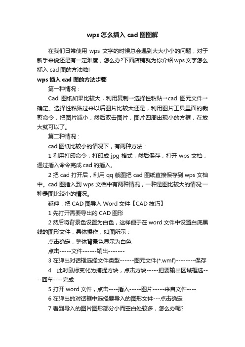 wps怎么插入cad图图解