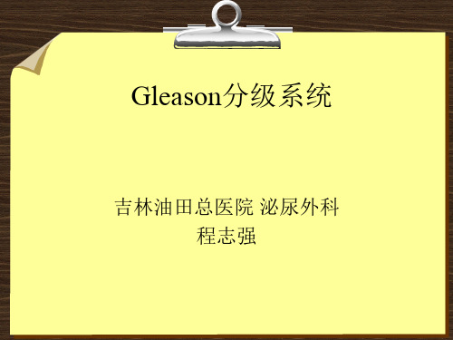 Gleason评分系统