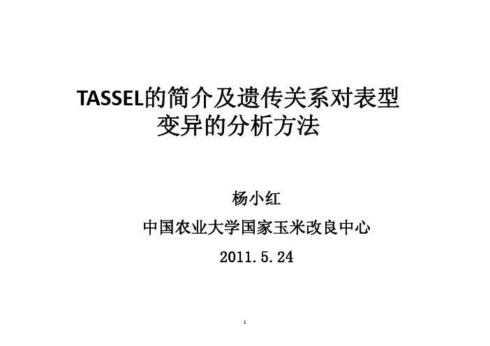 TASSEL的简介及遗传关系对表型变异贡献的分析方法_杨小红