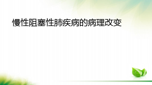 慢阻肺病理改变