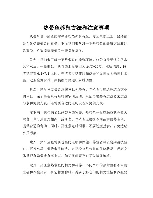 热带鱼养殖方法和注意事项