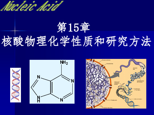 第15章 核酸的物理化学性质和研究方法