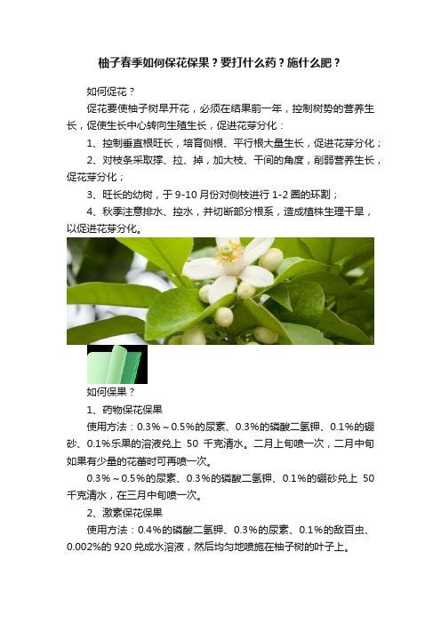 柚子春季如何保花保果？要打什么药？施什么肥？