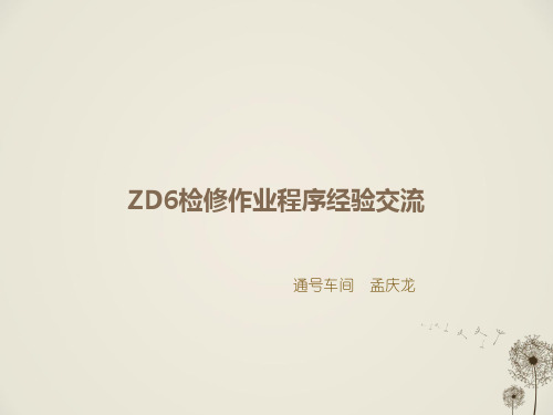 ZD6检修