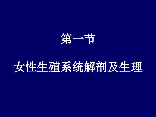 女性生殖系统解剖及生理