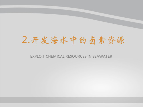 沪科版化学高一上册-2.1 以食盐为原料的化工产品 课件 _2