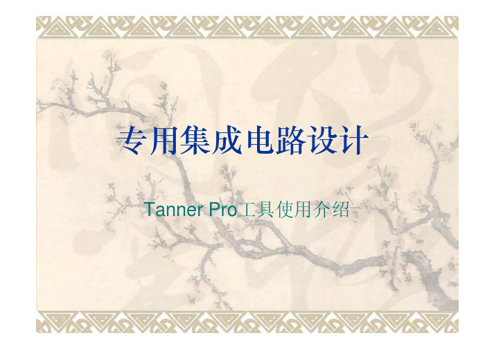 Tanner Pro13.0使用说明