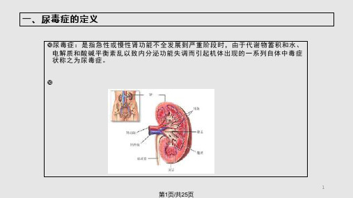 尿毒症病人的护理PPT课件