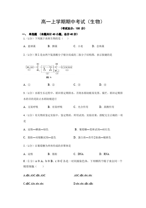 高一上学期期中考试(生物)试题含答案