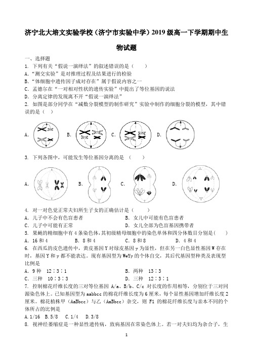 山东省济宁市实验中学2019-2020学年高一下学期期中考试生物试题 Word版含答案