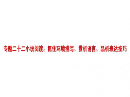 22中考语文复习专题二十二小说阅读抓住环境描写赏析语言品析表达技艺