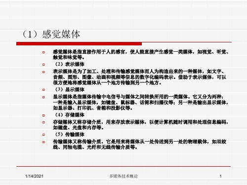 多媒体技术概论培训课件