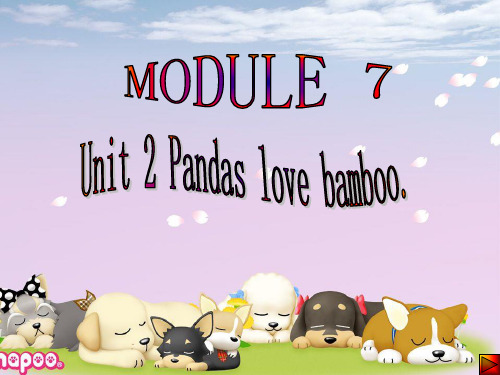 六年级上册英语课件-Module 7Unit 2 Pandas love bamboo∣外研版(三起