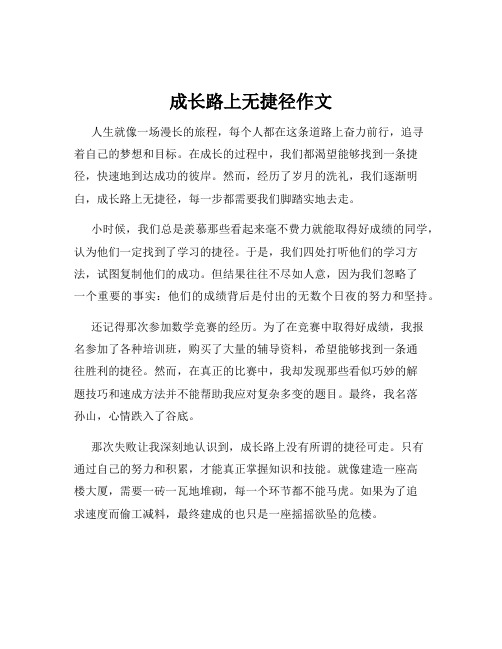 成长路上无捷径作文