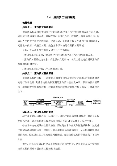 人教版高中生物选修3 1.4教材梳理：蛋白质工程的崛起