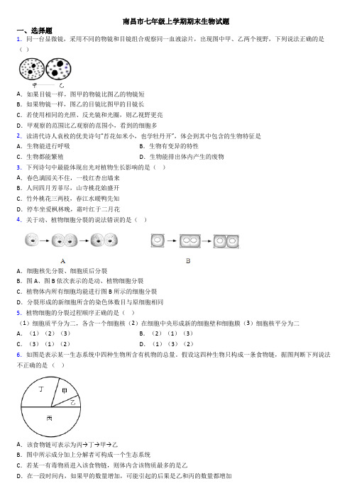南昌市七年级上学期期末生物试题