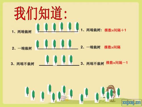 四年级下册数学广角植树问题___例2