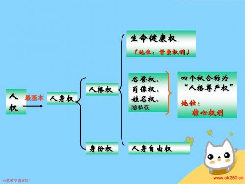 肖像和姓名权中的权利上