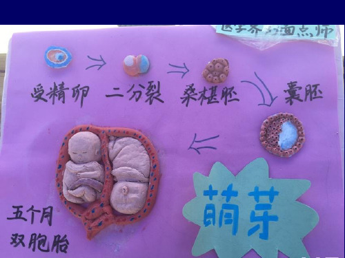 解剖学教学课件:6下肢骨及其连结