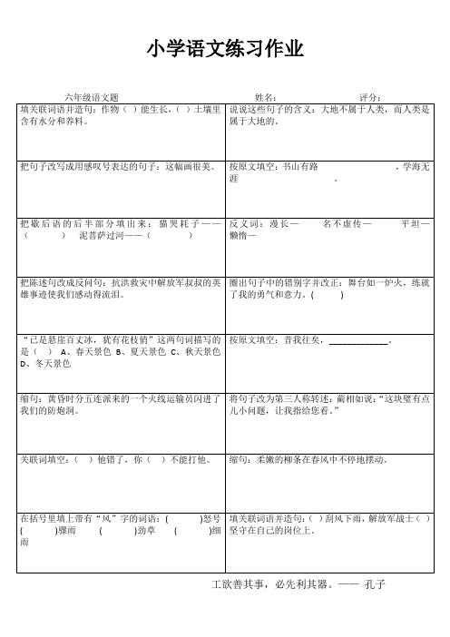 小学六年级语文课堂延伸练习III (41)