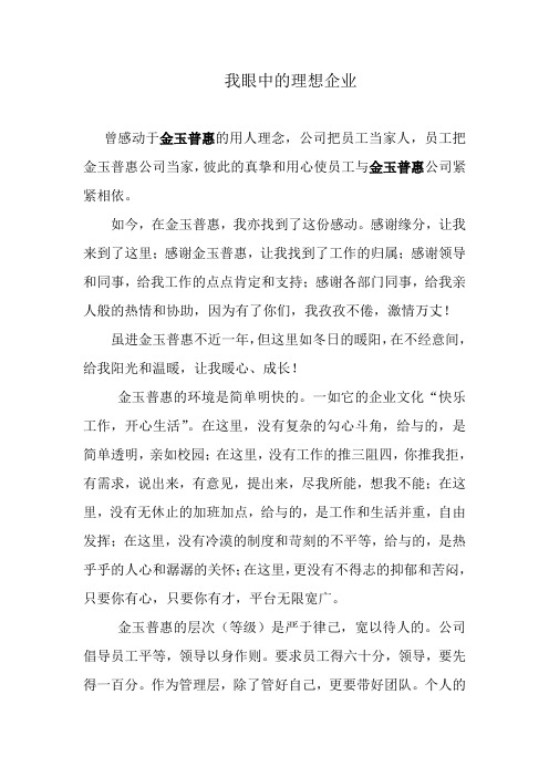 我眼中的理想企业