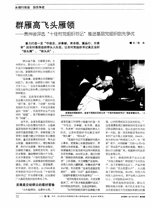 群雁高飞头雁领——贵州省评选“十佳村党组织书记”推进基层党组织创先争优