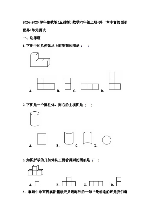 第一章丰富的图形世界+单元测试 +2024-2025学年鲁教版(五四制)数学六年级上册+