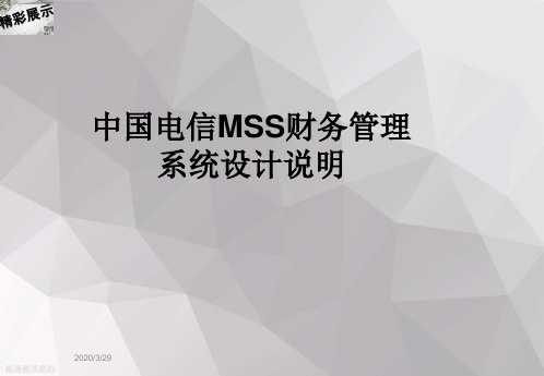 中国电信MSS财务管理系统设计说明