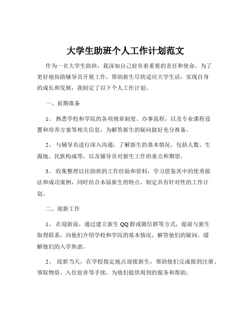 大学生助班个人工作计划范文