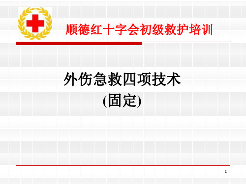 外伤急救四项技术(固定)