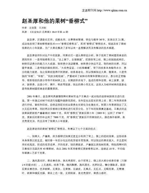 赵圣厚和他的果树“垂柳式”