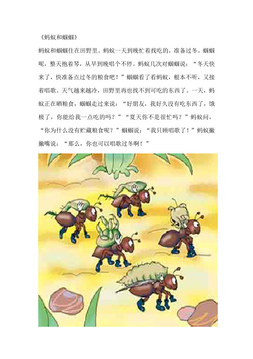 语言教案《蚂蚁和蝈蝈》