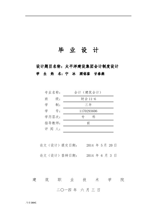 太平洋建设集团有限公司会计制度设计说明