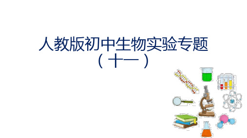 实验十一 二氧化碳是光合作用必需的原料吗？-初中生物全册实验分析设计精讲课件(人教版)