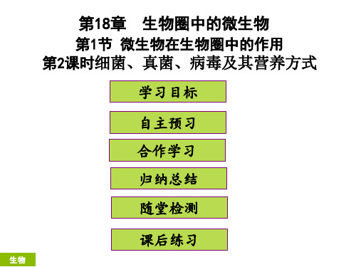 最新部编人教版八年级生物下册第18章生物圈中的微生物第1节《微生物在生物圈中的作用：细菌、真菌、病毒