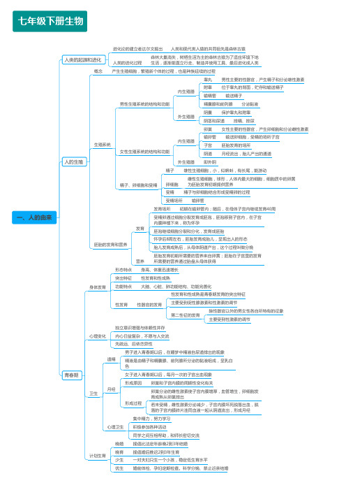 人教版生物初中七年级下册生物知识点思维导图