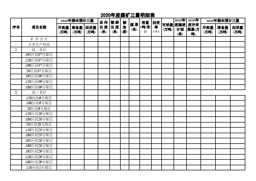 矿井综合能力评估-煤矿三量明细表