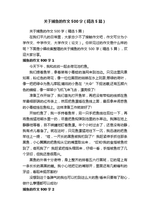 关于捕鱼的作文500字（精选5篇）