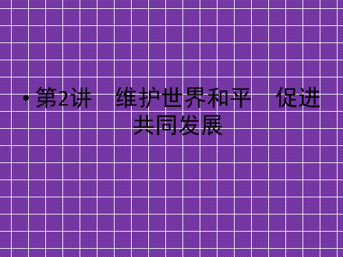 2012高考政治一轮复习课件【必修2】总复习课件4.9维护世界和平促进共同发展