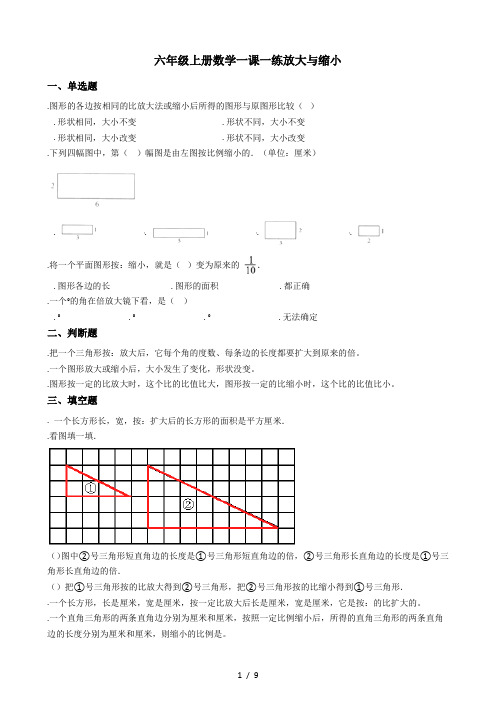 六年级上册数学一课一练-6.1放大与缩小 冀教版(秋)(含答案)