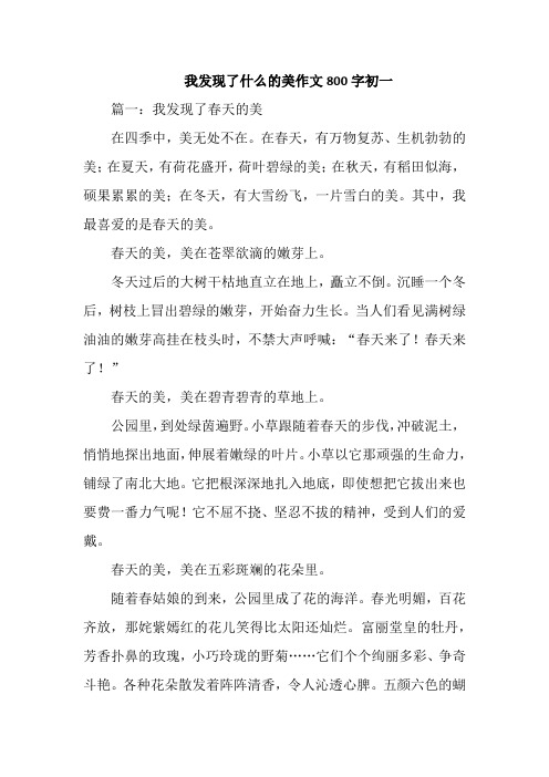 我发现了什么的美作文800字初一