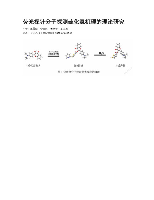 荧光探针分子探测硫化氢机理的理论研究