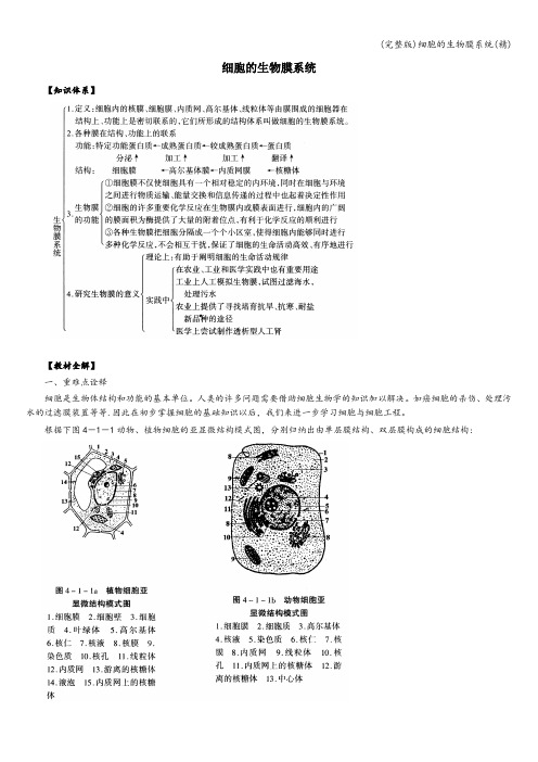 (完整版)细胞的生物膜系统(精)