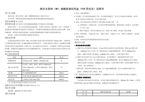 MP核酸检测试剂盒说明书