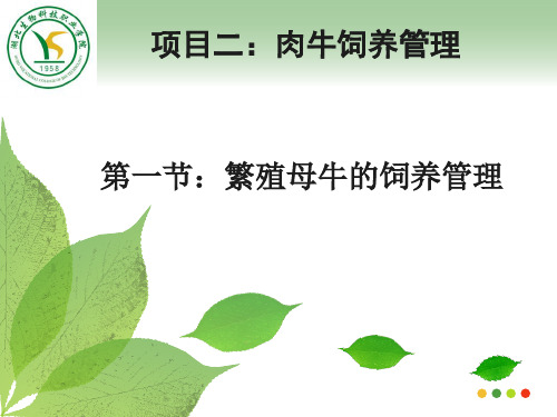 牛羊生产学10