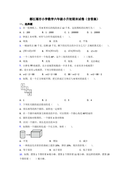 都江堰市小学数学六年级小升初期末试卷(含答案)