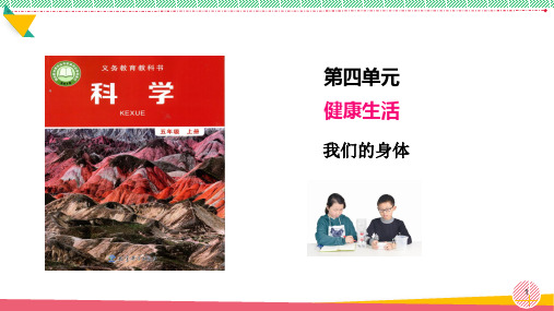 小学科学《我们的身体》优质课件